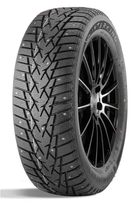 Double Star DW01 205/55 R16 91T