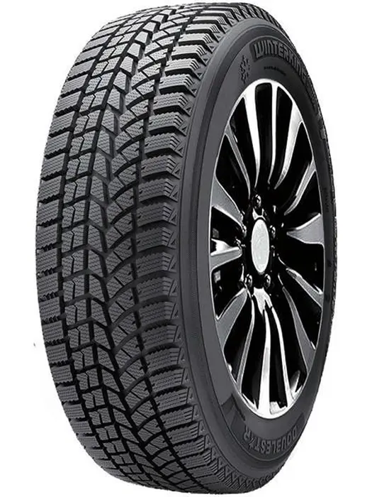 Double Star DW02 245/50R20 102T