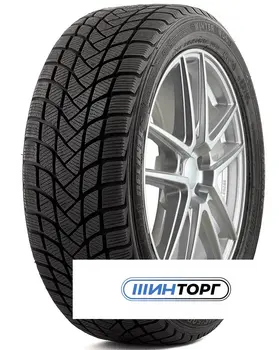Delinte Winter WD6 155/65 R13 73T