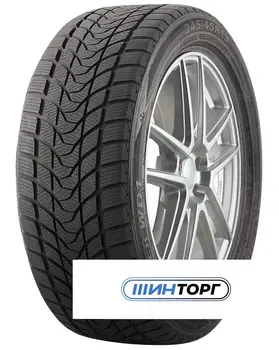 Delinte Winter WD1 235/45 R17 97T